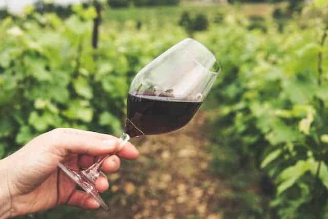 Our pick for best group wine tour - Wine and Lunch Escape