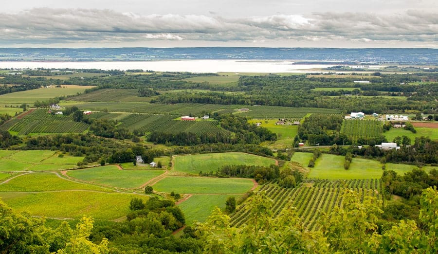 group wine tour in the Annapolis valley
