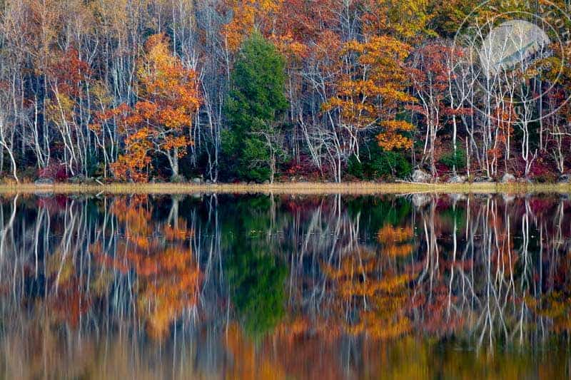 Essential info for your Nova Scotia glamping dome vacation 2023