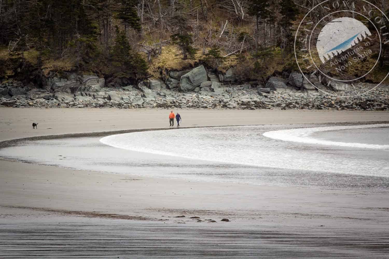 10 best places for forest bathing in Nova Scotia - Atlantic Destinations