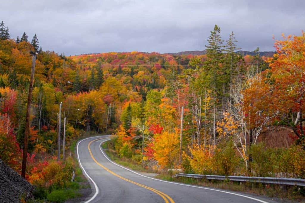Vibrant autumn foliage along a winding scenic road in Atlantic Destinations, showcasing colorful fall trees, rolling hills, and peaceful natural beauty in the northeastern United States.