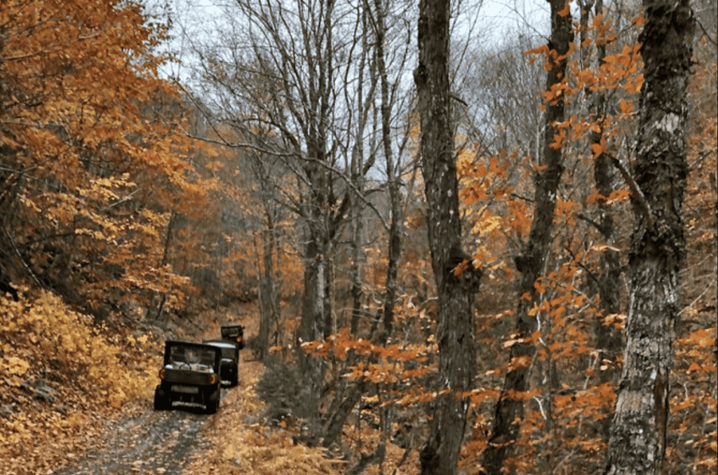 Exploring scenic fall foliage in a dense forest with off-road vehicles on a trail amid vibrant autumn leaves and tall trees, perfect for outdoor adventure and nature travel in the Atlantic destinations region.