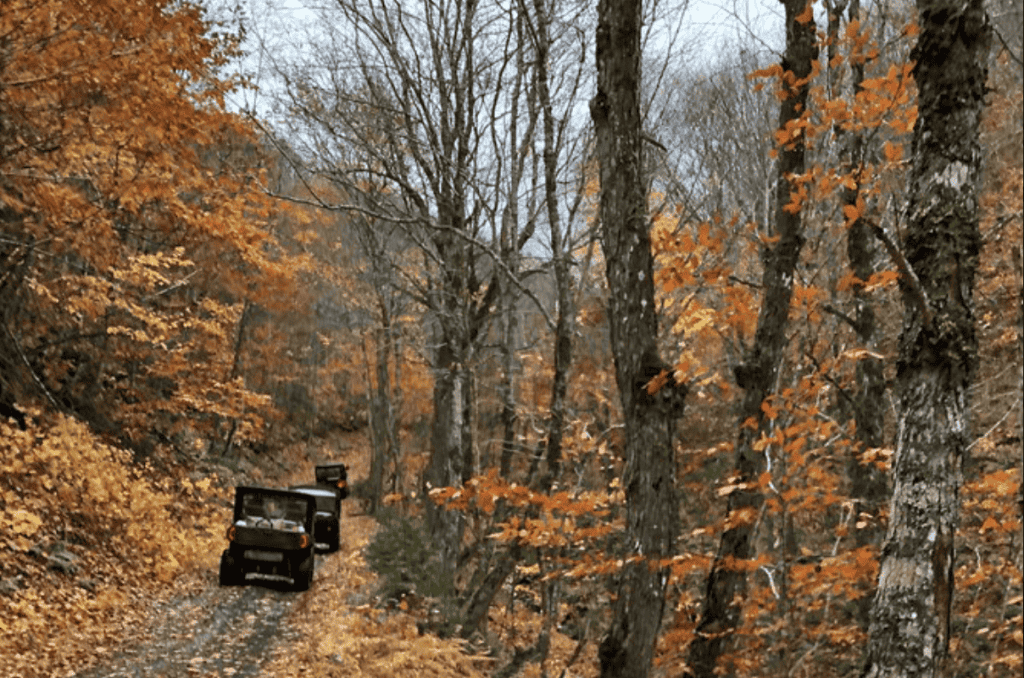 best tours in Cape Breton - UTVs to Cape Clear
