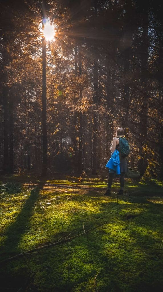 Sunlight filtering through dense forest trees during a scenic outdoor hike in Atlantic Destinations.