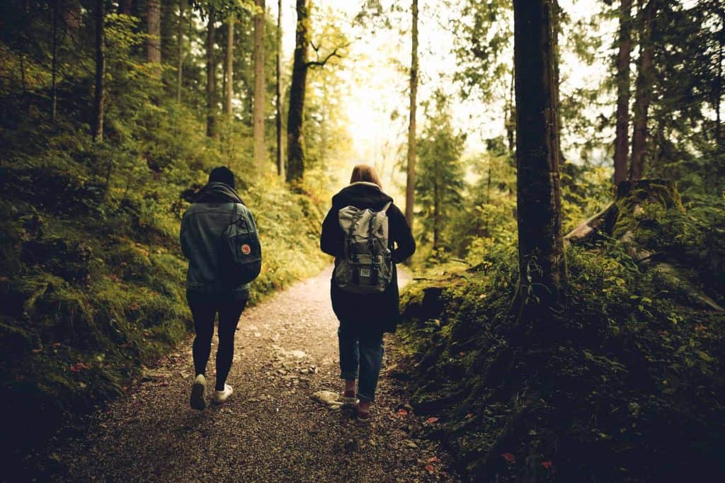 Hiking in lush forests on a scenic trail, showcasing outdoor adventure activities in Atlantic Destinations, perfect for nature lovers and explorers seeking travel experiences in picturesque natural landscapes.