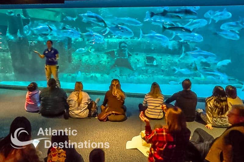 Crystal Coast - NC Aquarium at Pine Knoll Shores