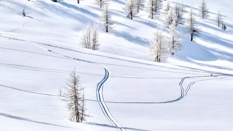 Things to do in North Carolina in winter - ski tracks on a snowy hill.  Photo by Mark Soetebier.