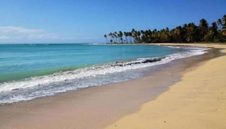 The Caribbean