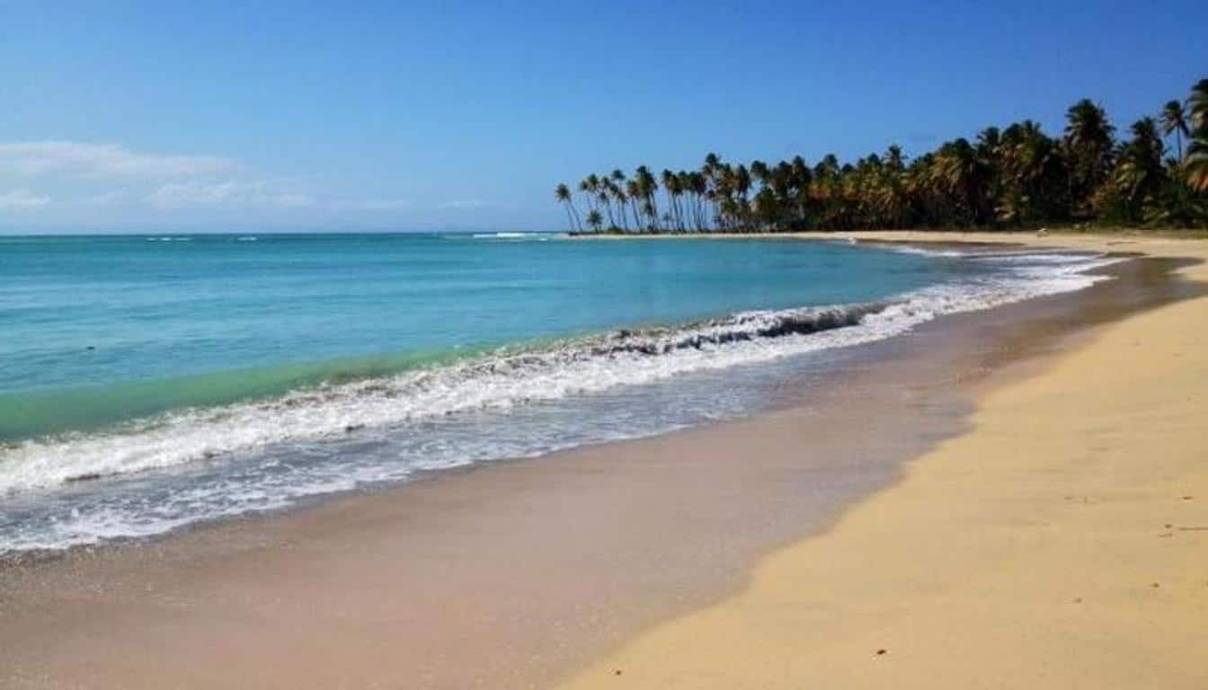 The Caribbean